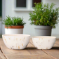 Blair Handcrafted Ceramic Oval Planter Set (Set of Two)