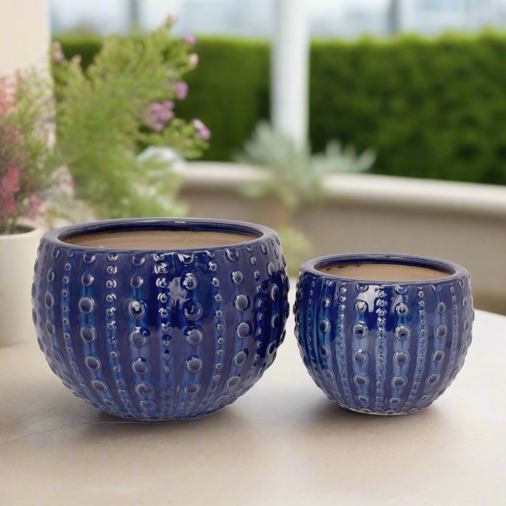 Zerina Ceramic Planter Set (Set of 2)