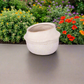Marius Ceramic Pot Set (Set of 2)