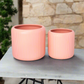 Ceyvon Matte Ceramic Planter Set (Set of 2)
