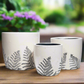 Priscilla Ceramic Round Planter Set (Set of 3)