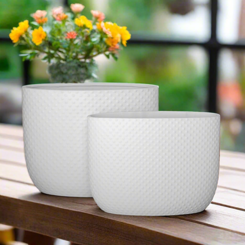 Dovara Symmetry Oval Ceramic Planter Set (Set of 2)