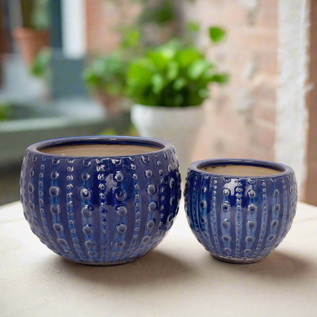 Zerina Ceramic Planter Set (Set of 2)