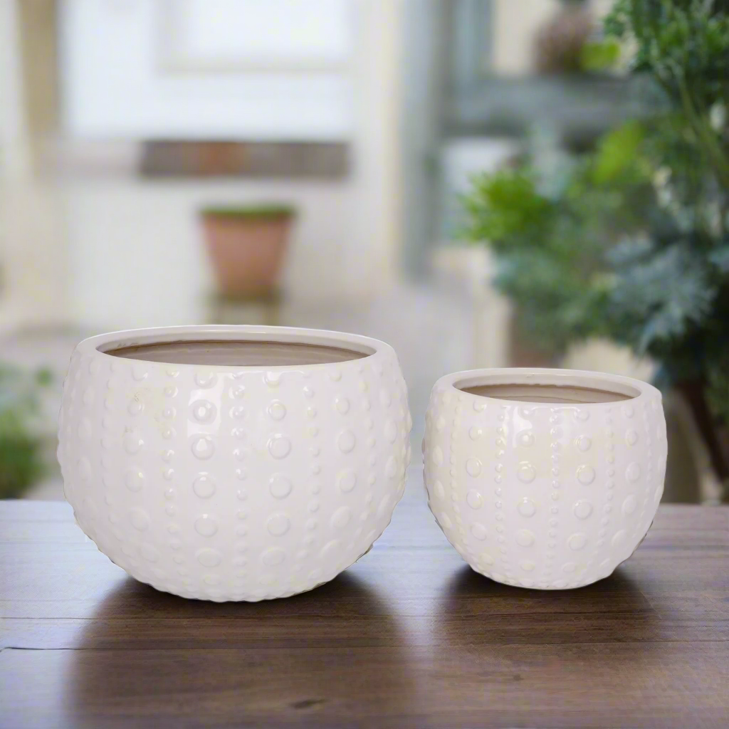 Zerina Ceramic Planter Set (Set of 2)