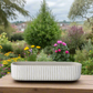 Lucia Cement Rectangular Pot