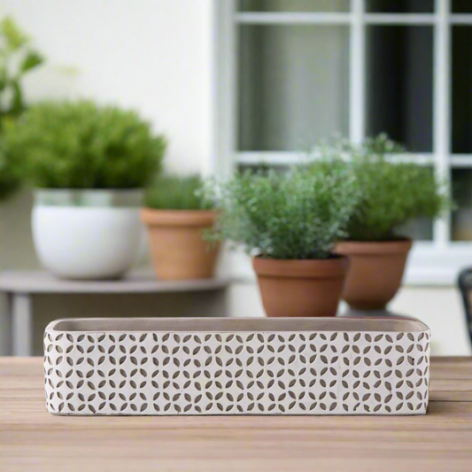 Beverly Cement Low Oval Pot
