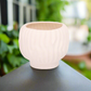 Alyzzabeth Ceramic Ridged Pot