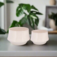 Rivana White Ceramic Planter Set (Set of 2)