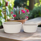Halora Honeycomb Oval Planter Set (Set of 2)