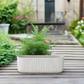 Lucia Cement Rectangular Pot