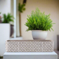 Beverly Cement Low Oval Pot