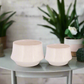 Rivana White Ceramic Planter Set (Set of 2)