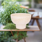 Eleanor Ceramic Compote Bowl