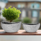 Belloro Geometric Oval Ceramic Planter Set (Set of 2)