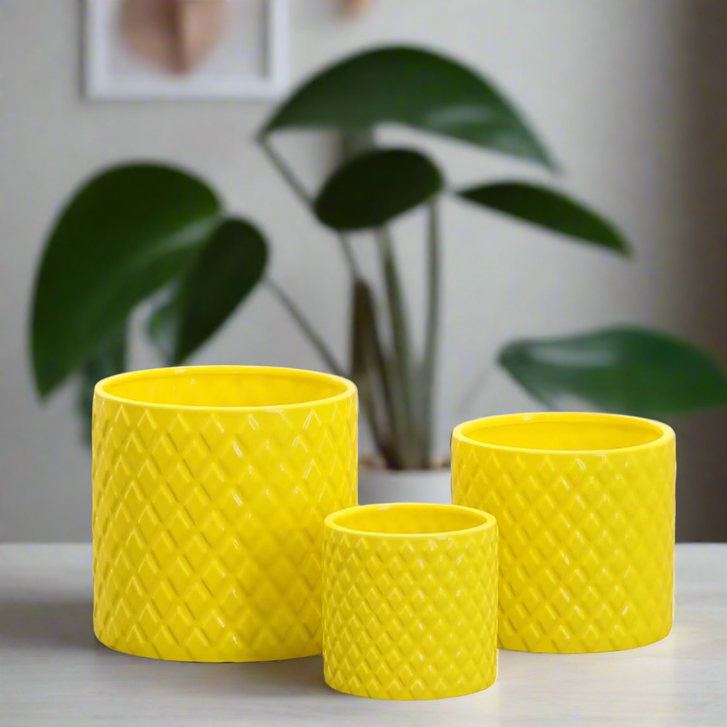 Kavelle Diamond Pattern Ceramic Pot (Set of 3)