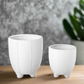 Kavrine Ceramic Round Pot with Embossed Chevron Stripe Design and Stand (Set of 2)