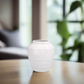 Alivia Ceramic Vase