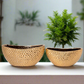Belloro Geometric Oval Ceramic Planter Set (Set of 2)