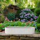 Lucia Cement Rectangular Pot