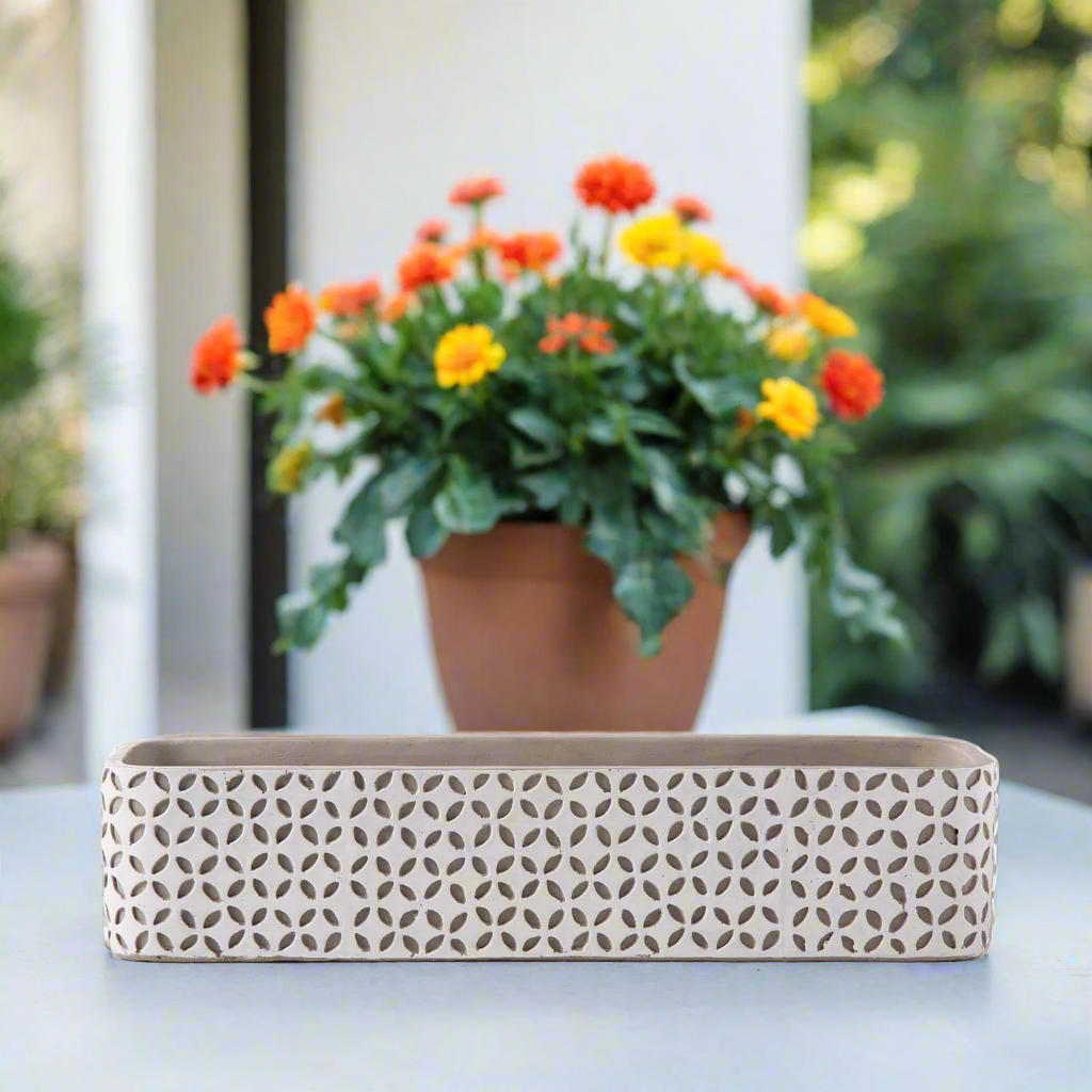 Beverly Cement Low Oval Pot