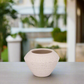 Lucille Ceramic Sandstone Pot