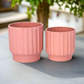 Quessara Ceramic Planter with Stand Set (Set of 2)