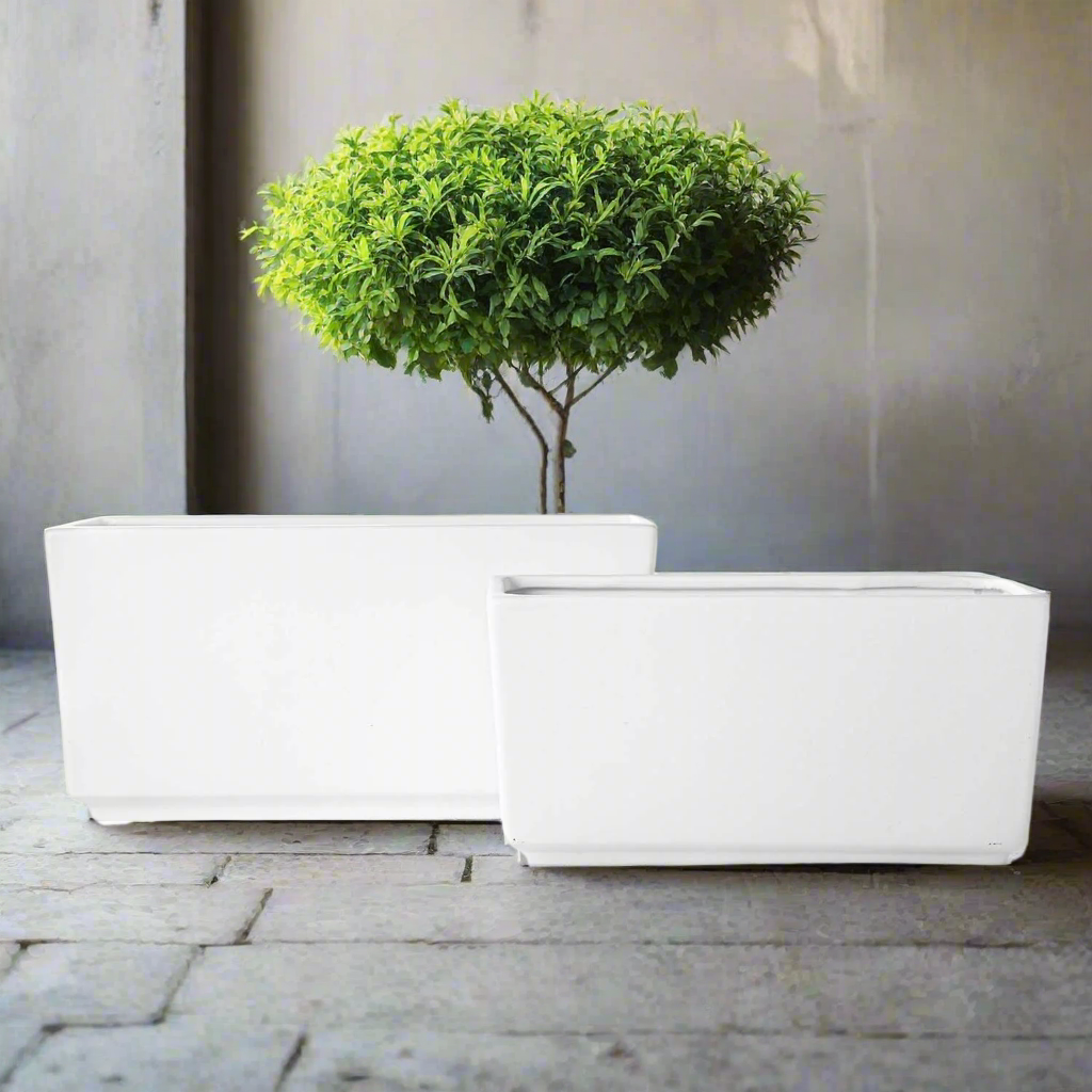 Deyra Tapered Rectangle Ceramic Planter Set (Set of 2)