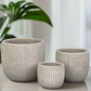 Lazare Etched Lattice Cement Pot Set (Set of 3)