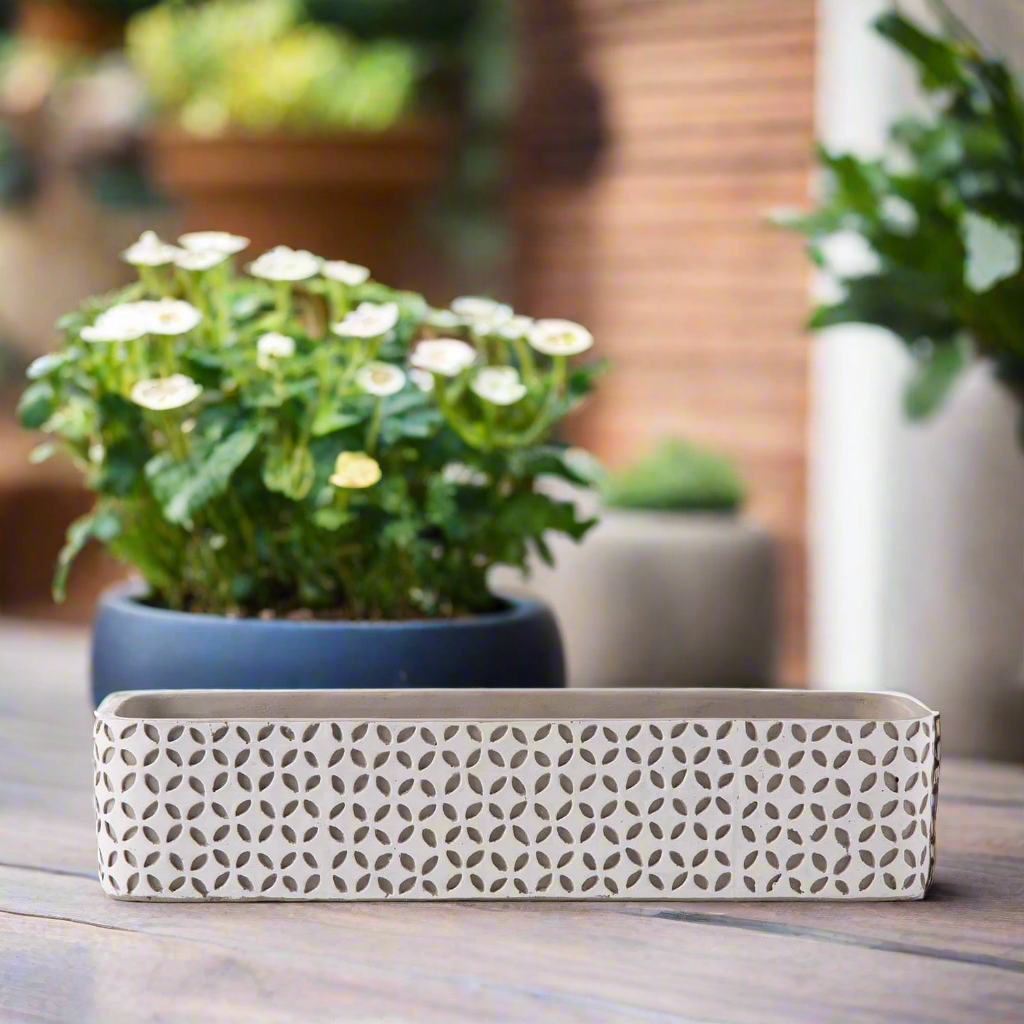 Beverly Cement Low Oval Pot
