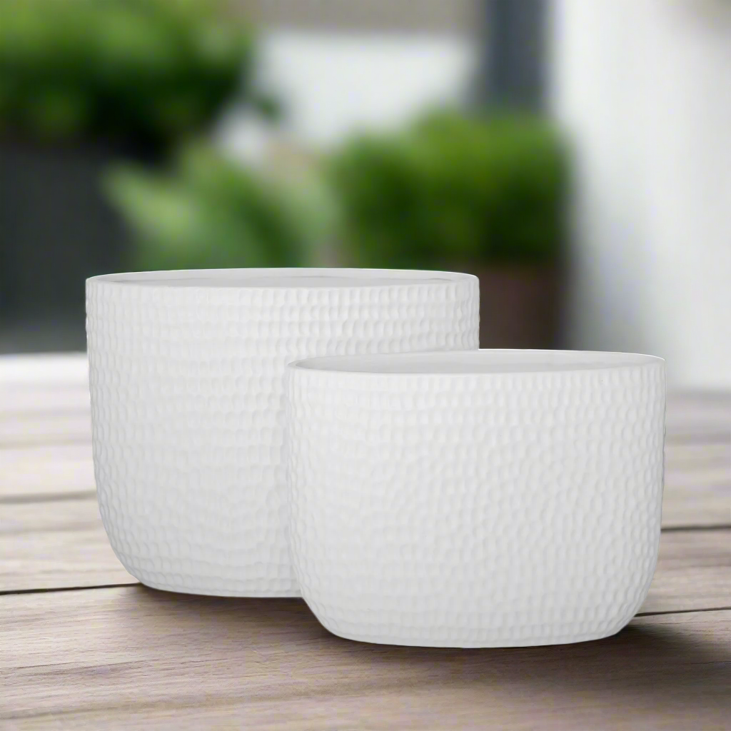 Ceryn Symmetry Oval Planter Set (Set of 2)