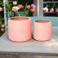 Ceyvon Matte Ceramic Planter Set (Set of 2)