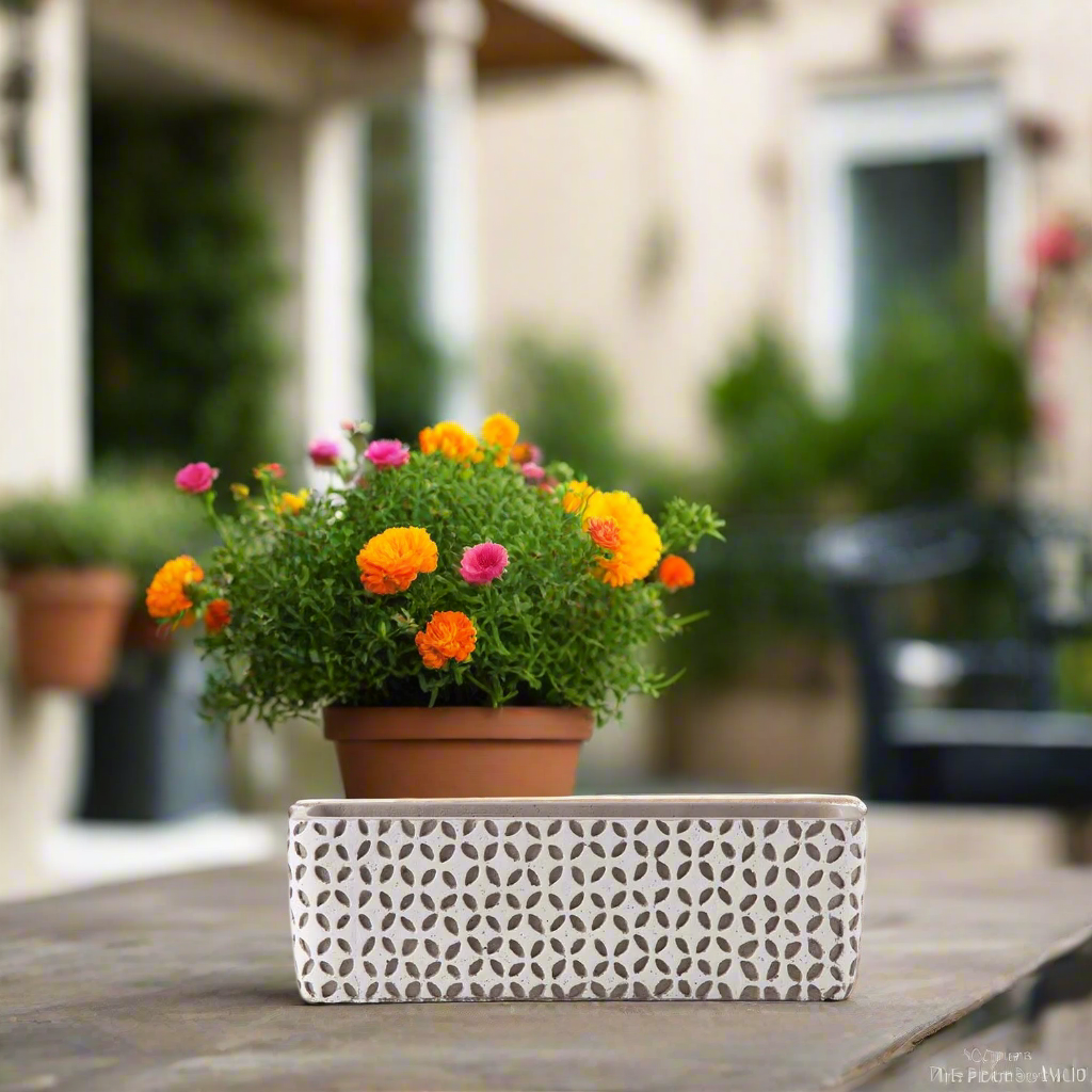 Beverly Cement Low Oval Pot