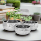 Lerros Wavy Emboss Ceramic Planter Set (Set of 3)