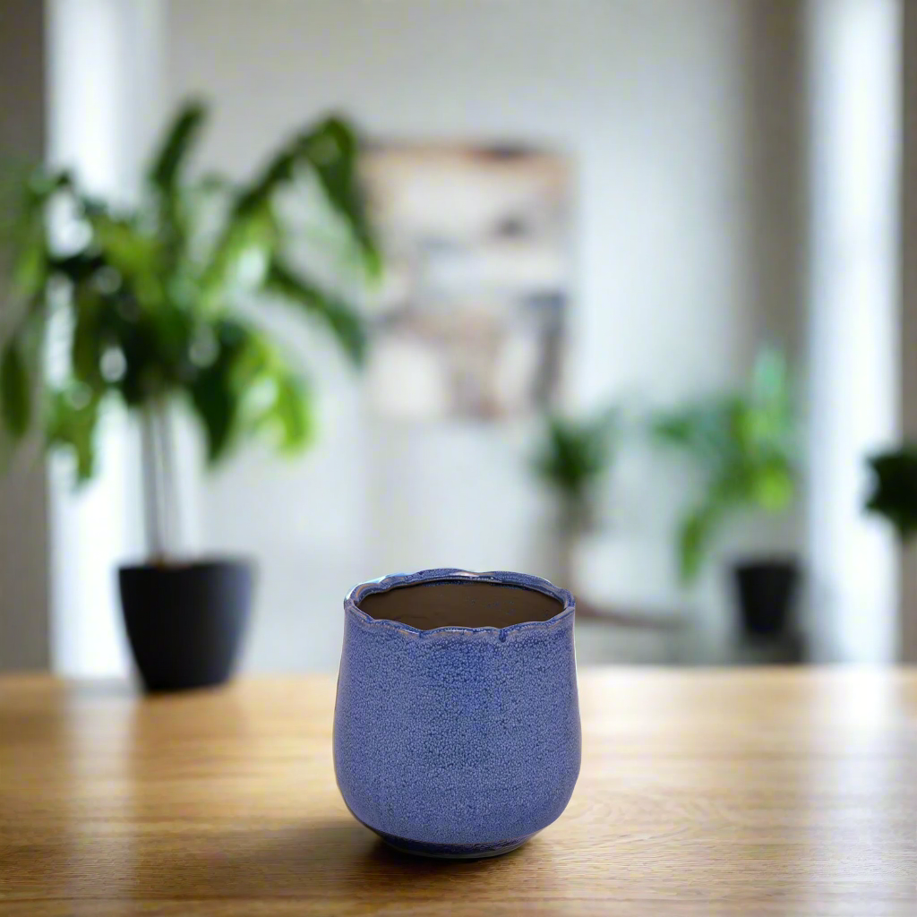 Agatha Ceramic Pot