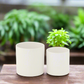 Ollie Ceramic Plain Round Pot (Set of 2)