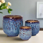 Aven Blossom Ceramic Planter Set (Set of 3)