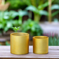 Ollie Ceramic Plain Round Pot (Set of 2)