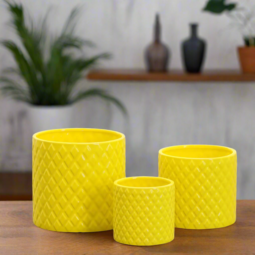Kavelle Diamond Pattern Ceramic Pot (Set of 3)