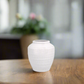 Alivia Ceramic Vase