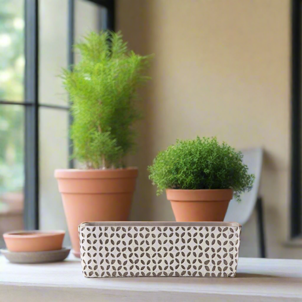 Beverly Cement Low Oval Pot