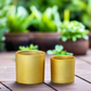 Ollie Ceramic Plain Round Pot (Set of 2)