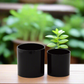Ollie Ceramic Plain Round Pot (Set of 2)