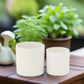 Ollie Ceramic Plain Round Pot (Set of 2)