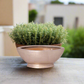 Bianca Polystone Boat Planter