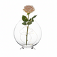 Helora Eye-Shaped Clear Glass Vase