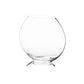 Helora Eye-Shaped Clear Glass Vase