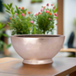 Bianca Polystone Boat Planter
