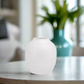 Alivia Ceramic Vase