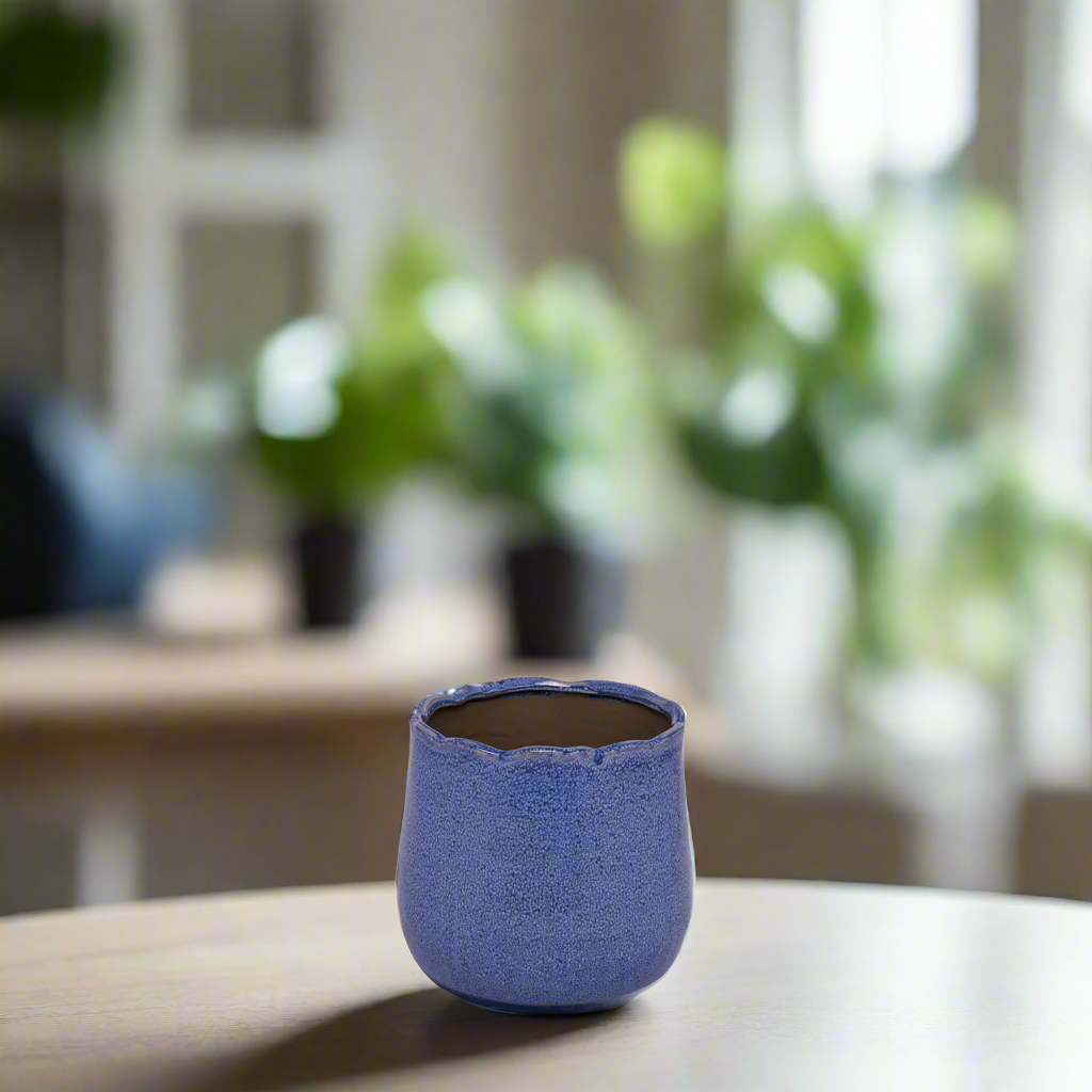 Agatha Ceramic Pot