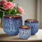 Aven Blossom Ceramic Planter Set (Set of 3)